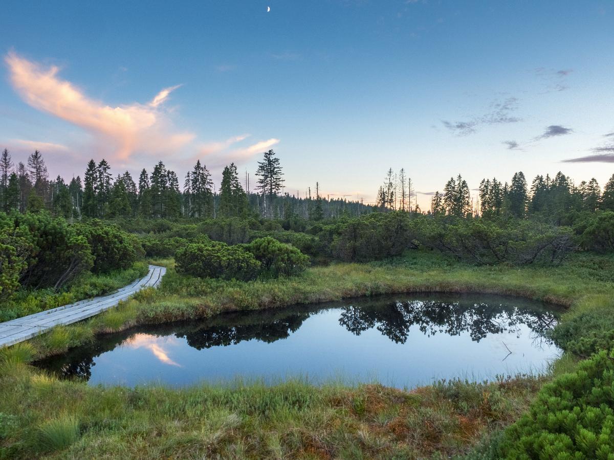 Šumava 2017