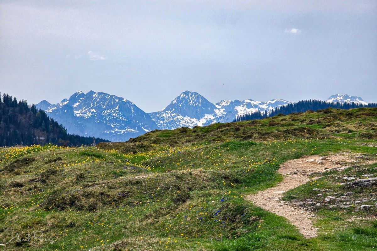 CZ -> Alps a Postalm