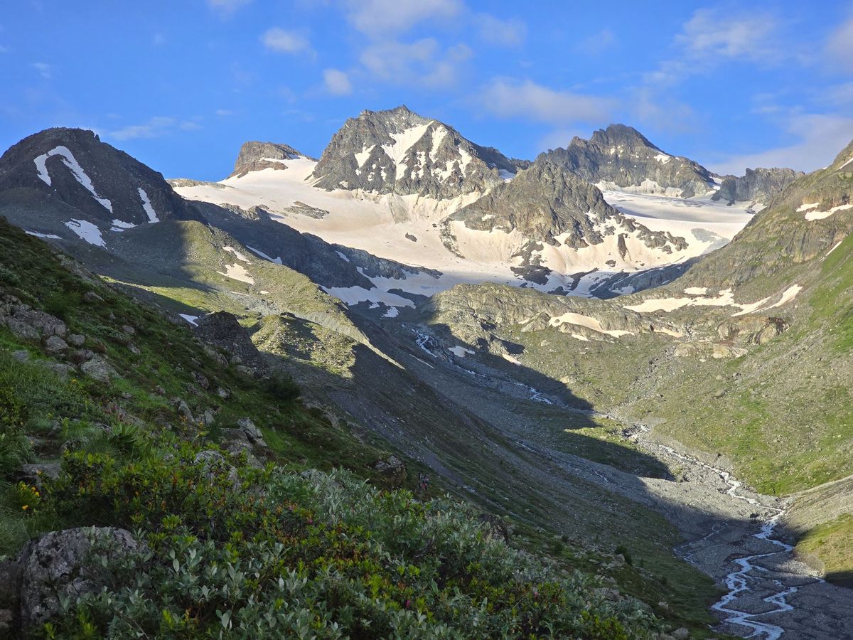 Silvretta gruppe 2024